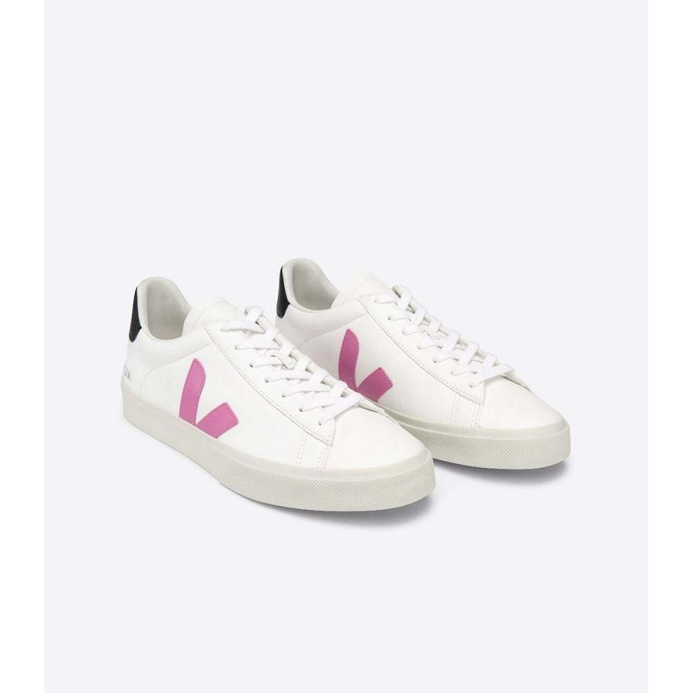 Veja CAMPO CHROMEFREE Low Tops Sneakers Női White/Purple | HU 597FDN